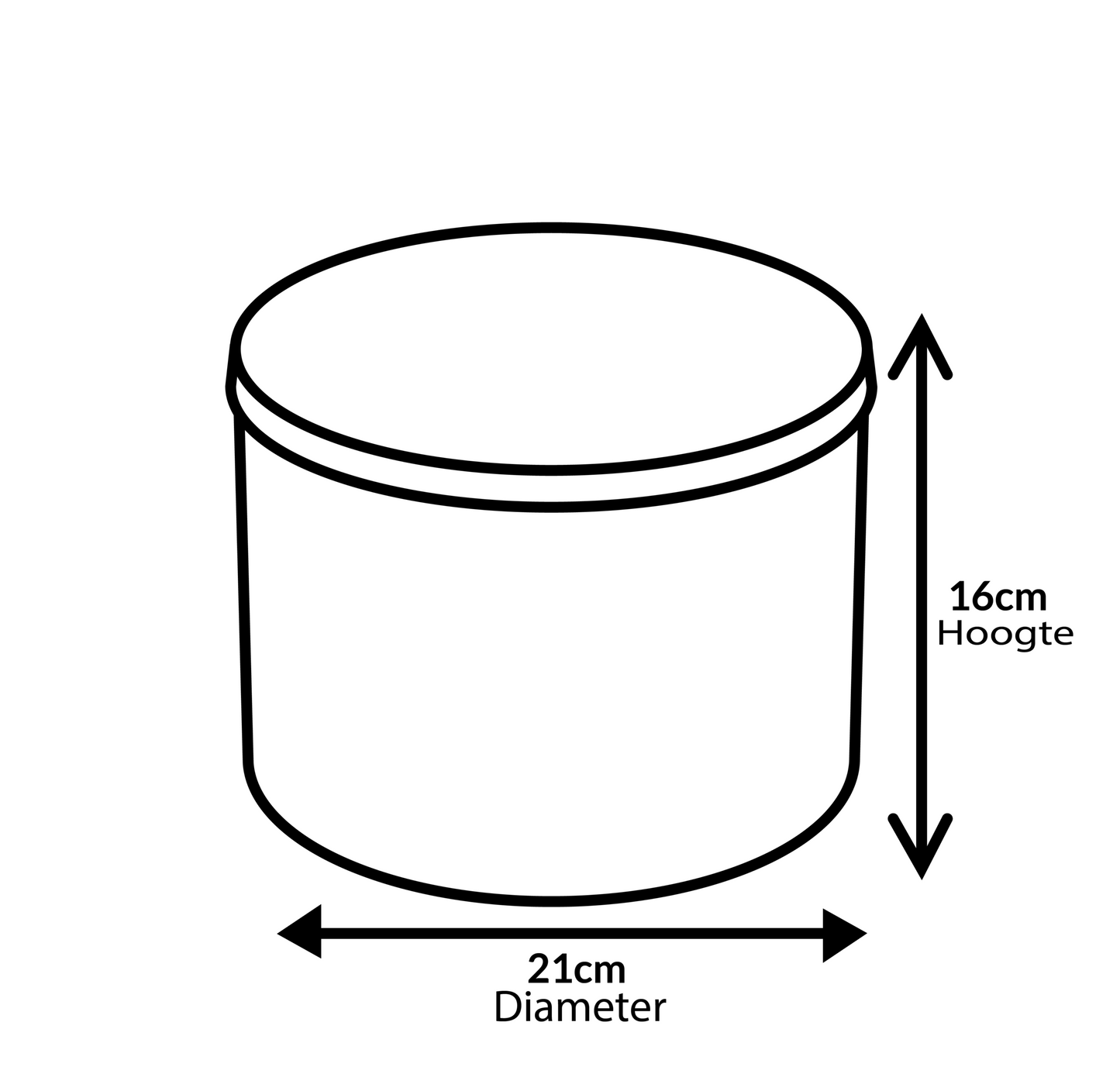 Dolce Gabbana panettone