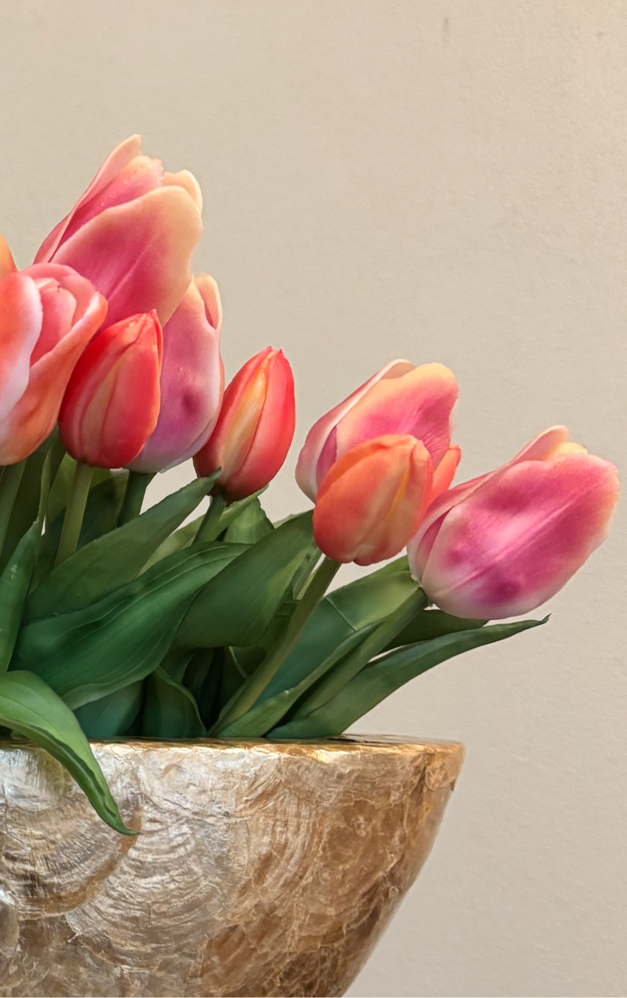 Tulpen roze oranje