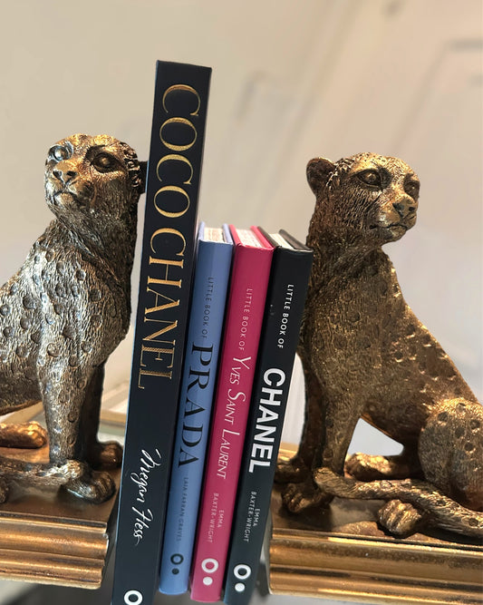 Little book of Yves saint laurent