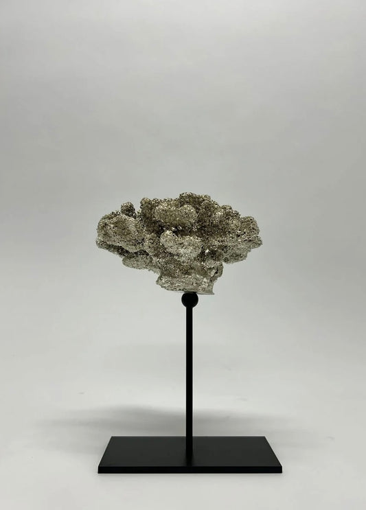 Coral metalen standaard