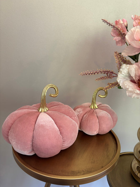 Pompoen roze